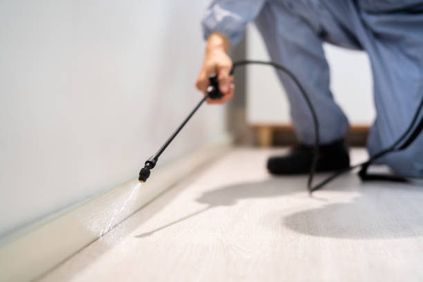 Licensed Cockroach Control service in Austin, TX - Nex Pest Control