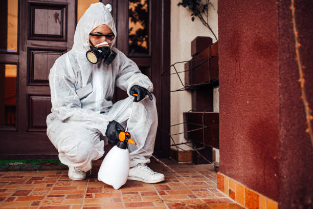 Reliable Cockroach Control contractor in Austin, TX by Nex Pest Control